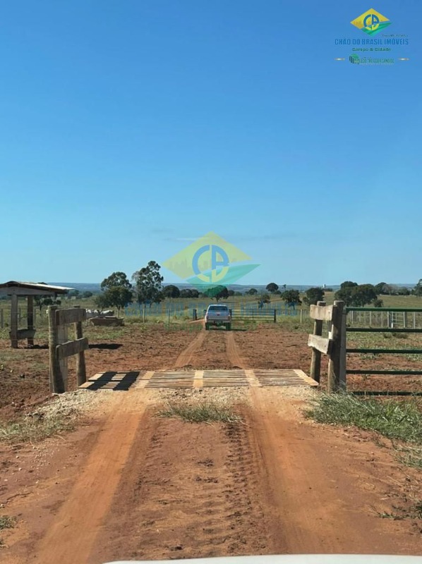 Fazenda à venda com 5 quartos, 200m² - Foto 2