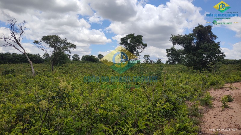 Fazenda à venda com 4 quartos, 200m² - Foto 23