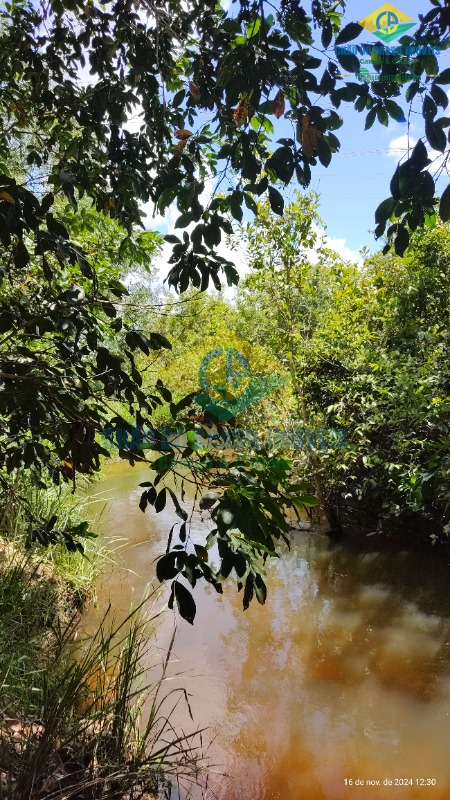 Fazenda à venda com 4 quartos, 200m² - Foto 40