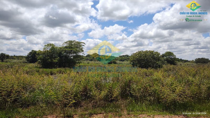 Fazenda à venda com 4 quartos, 200m² - Foto 33