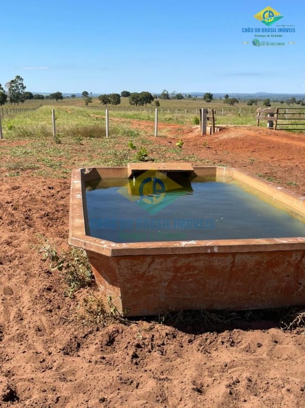 Fazenda à venda com 5 quartos, 200m² - Foto 11