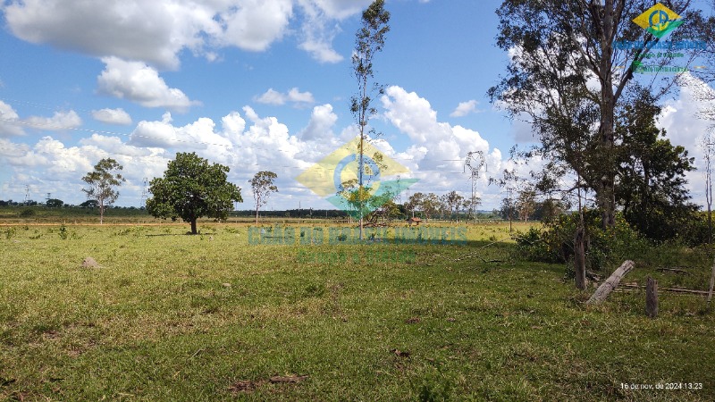 Fazenda à venda com 4 quartos, 200m² - Foto 45