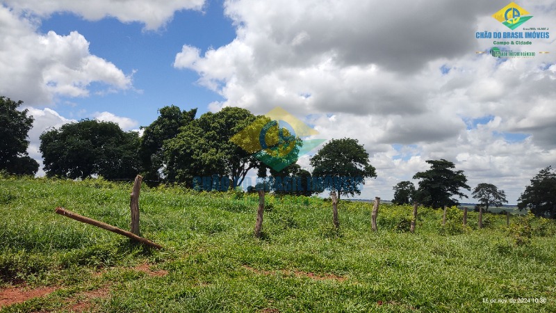 Fazenda à venda com 4 quartos, 200m² - Foto 5