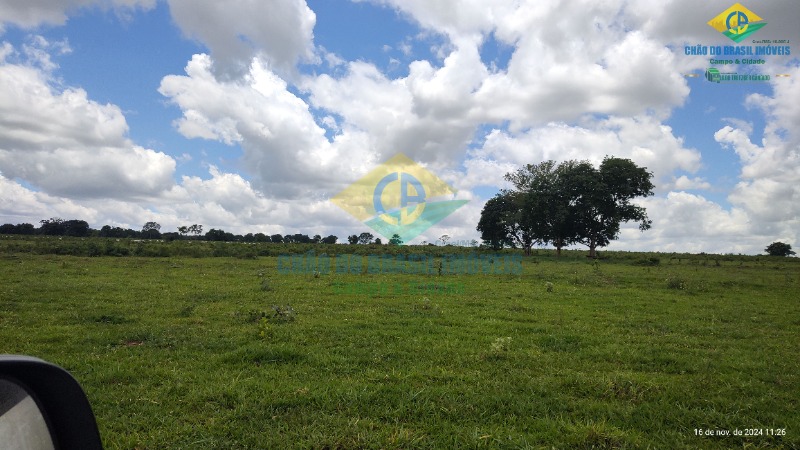 Fazenda à venda com 4 quartos, 200m² - Foto 38