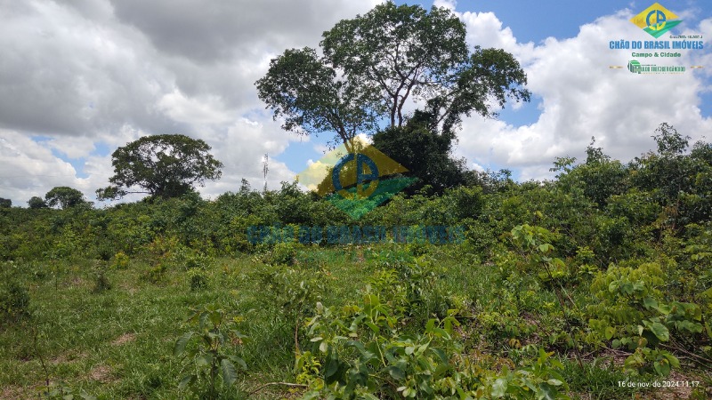 Fazenda à venda com 4 quartos, 200m² - Foto 26