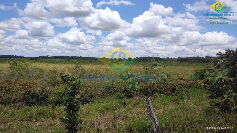 Fazenda à venda com 4 quartos, 200m² - Foto 35