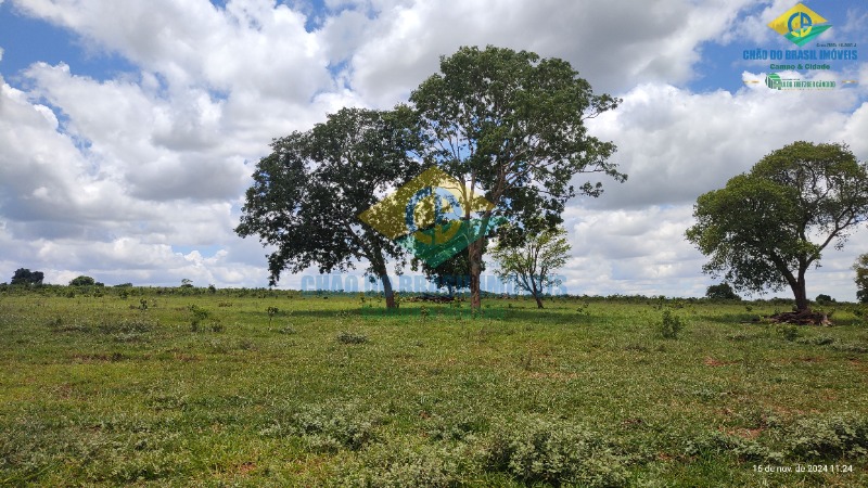 Fazenda à venda com 4 quartos, 200m² - Foto 39