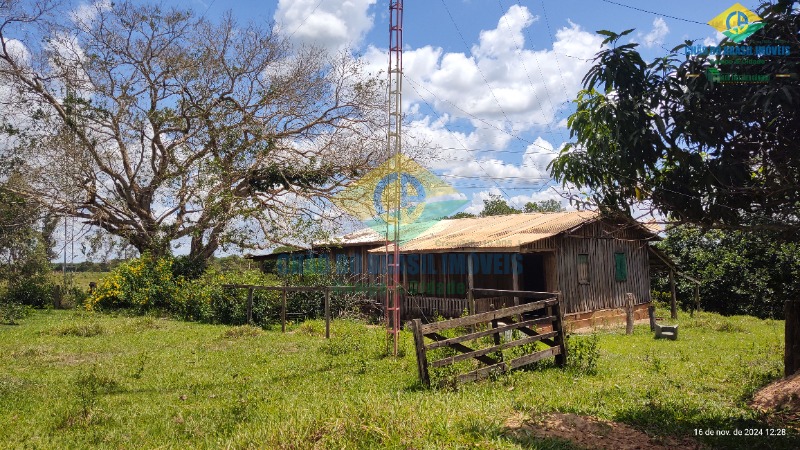 Fazenda à venda com 4 quartos, 200m² - Foto 49