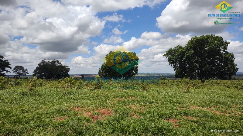 Fazenda à venda com 4 quartos, 200m² - Foto 10