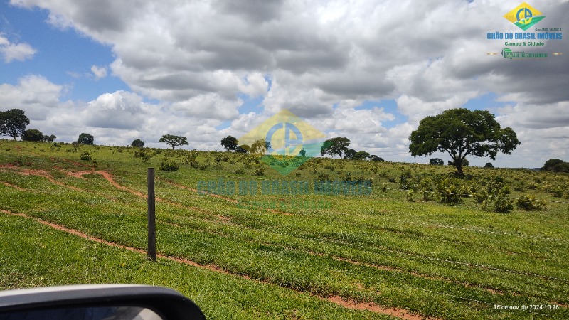 Fazenda à venda com 4 quartos, 200m² - Foto 8