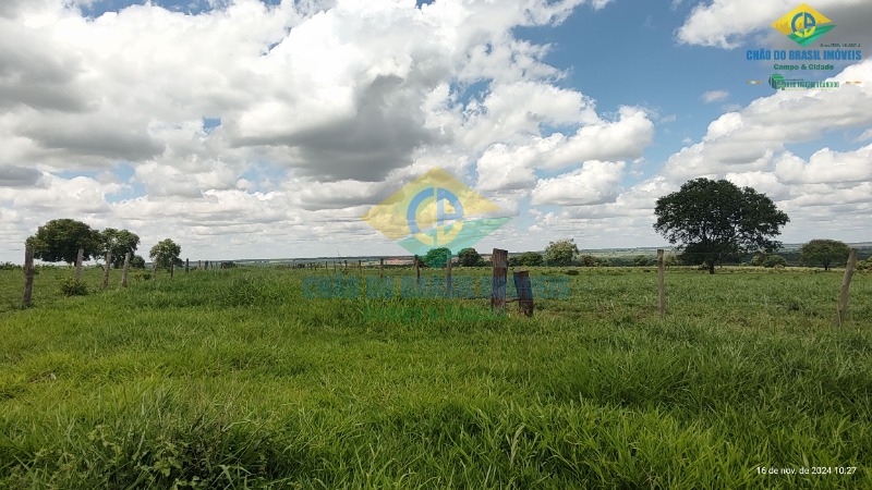 Fazenda à venda com 4 quartos, 200m² - Foto 3