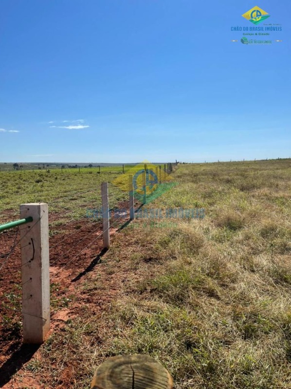 Fazenda à venda com 5 quartos, 200m² - Foto 10