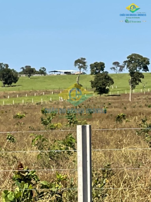 Fazenda à venda com 5 quartos, 200m² - Foto 9