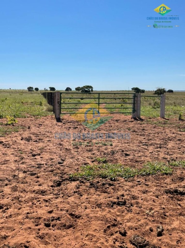 Fazenda à venda com 5 quartos, 200m² - Foto 5