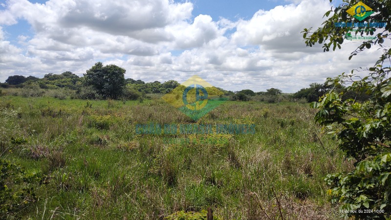 Fazenda à venda com 4 quartos, 200m² - Foto 32