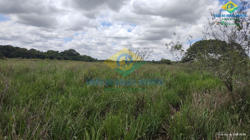 Fazenda à venda com 4 quartos, 200m² - Foto 31