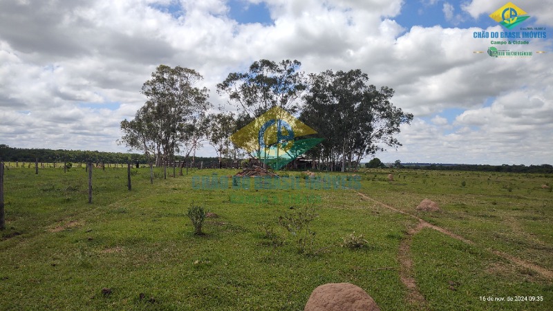 Fazenda à venda com 4 quartos, 200m² - Foto 52