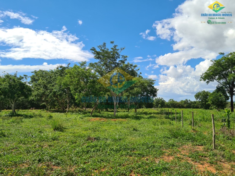 Chácara à venda com 4 quartos, 400m² - Foto 34