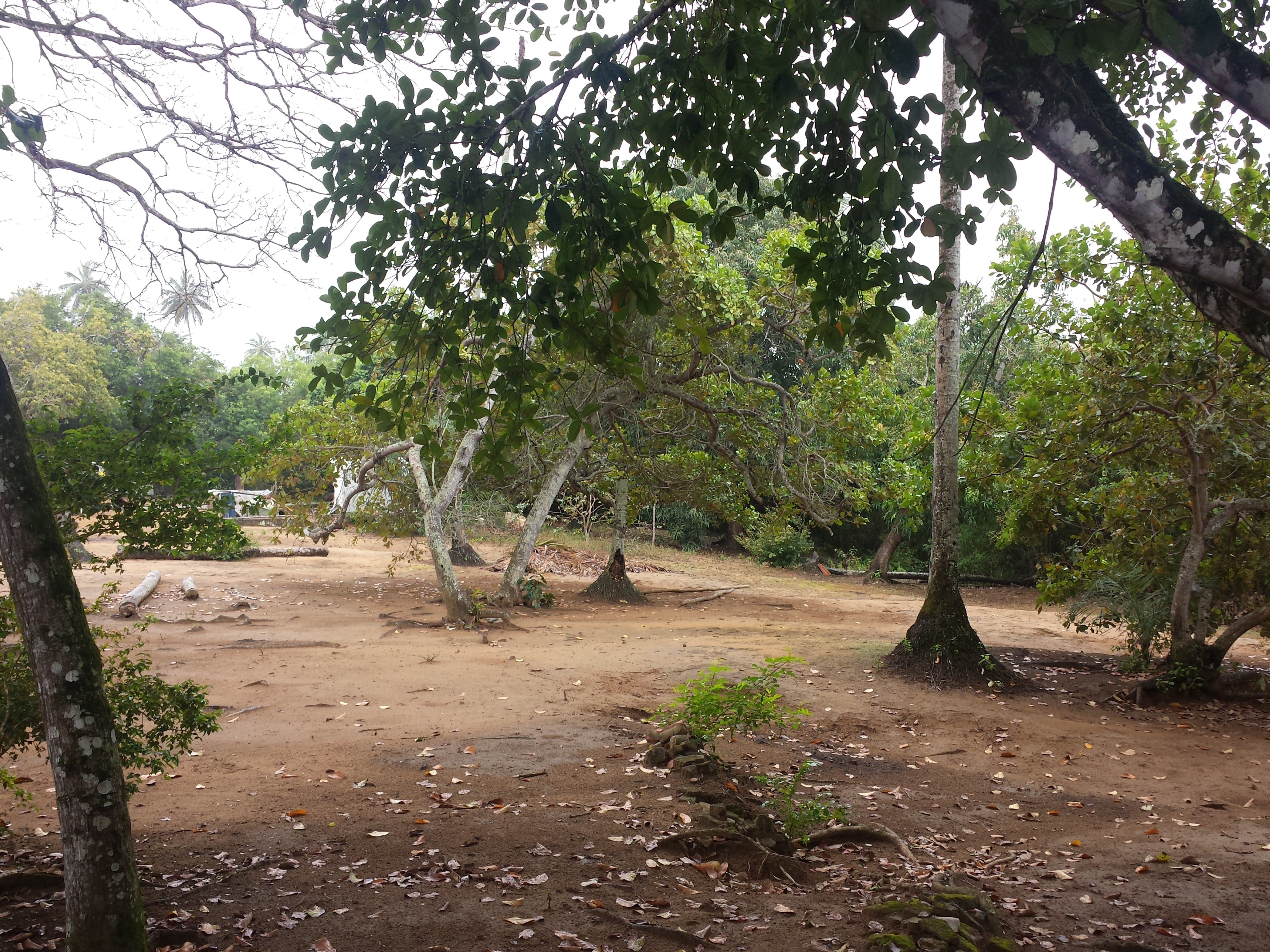 Terreno à venda, 100000m² - Foto 5