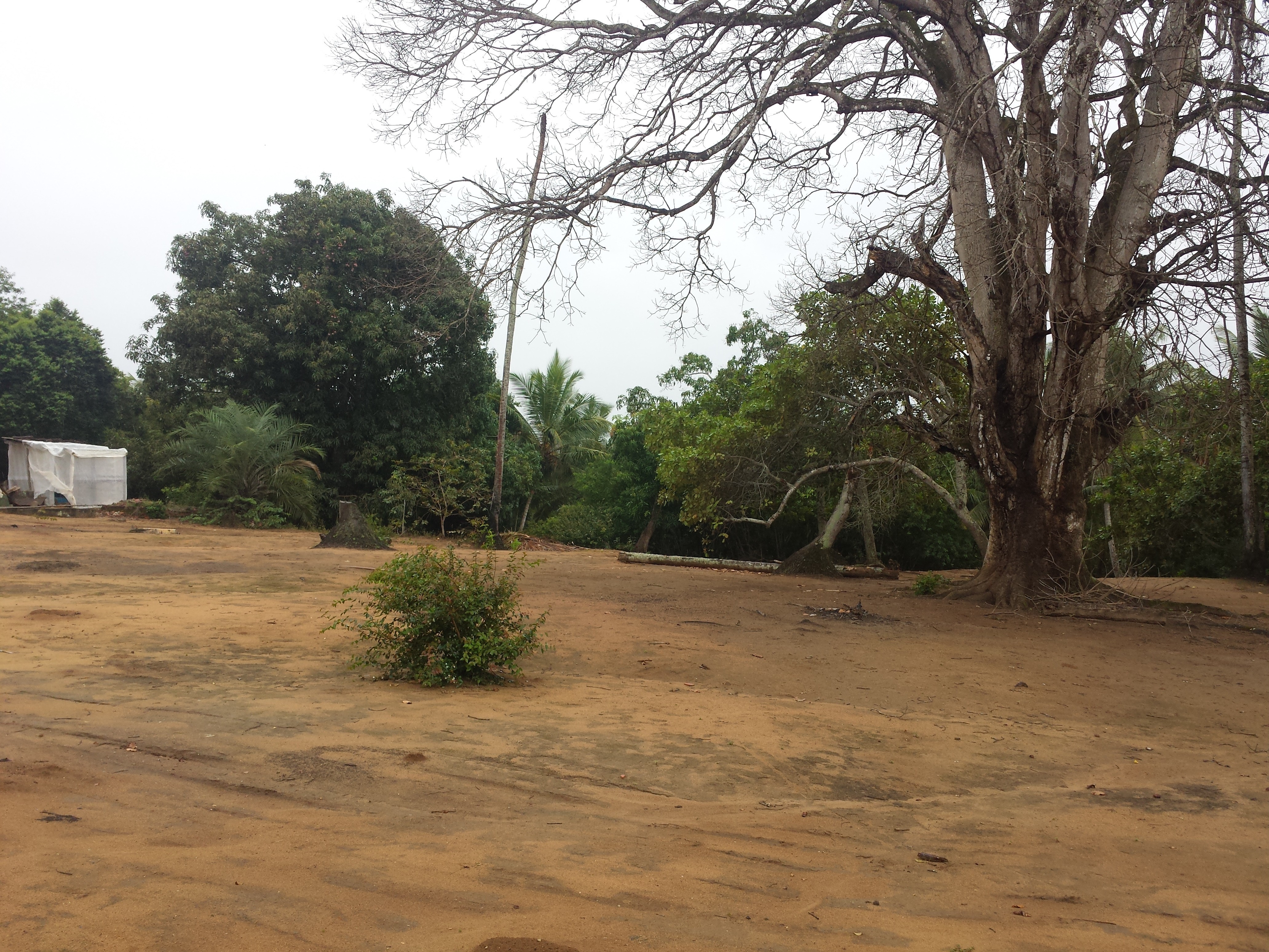 Terreno à venda, 100000m² - Foto 3