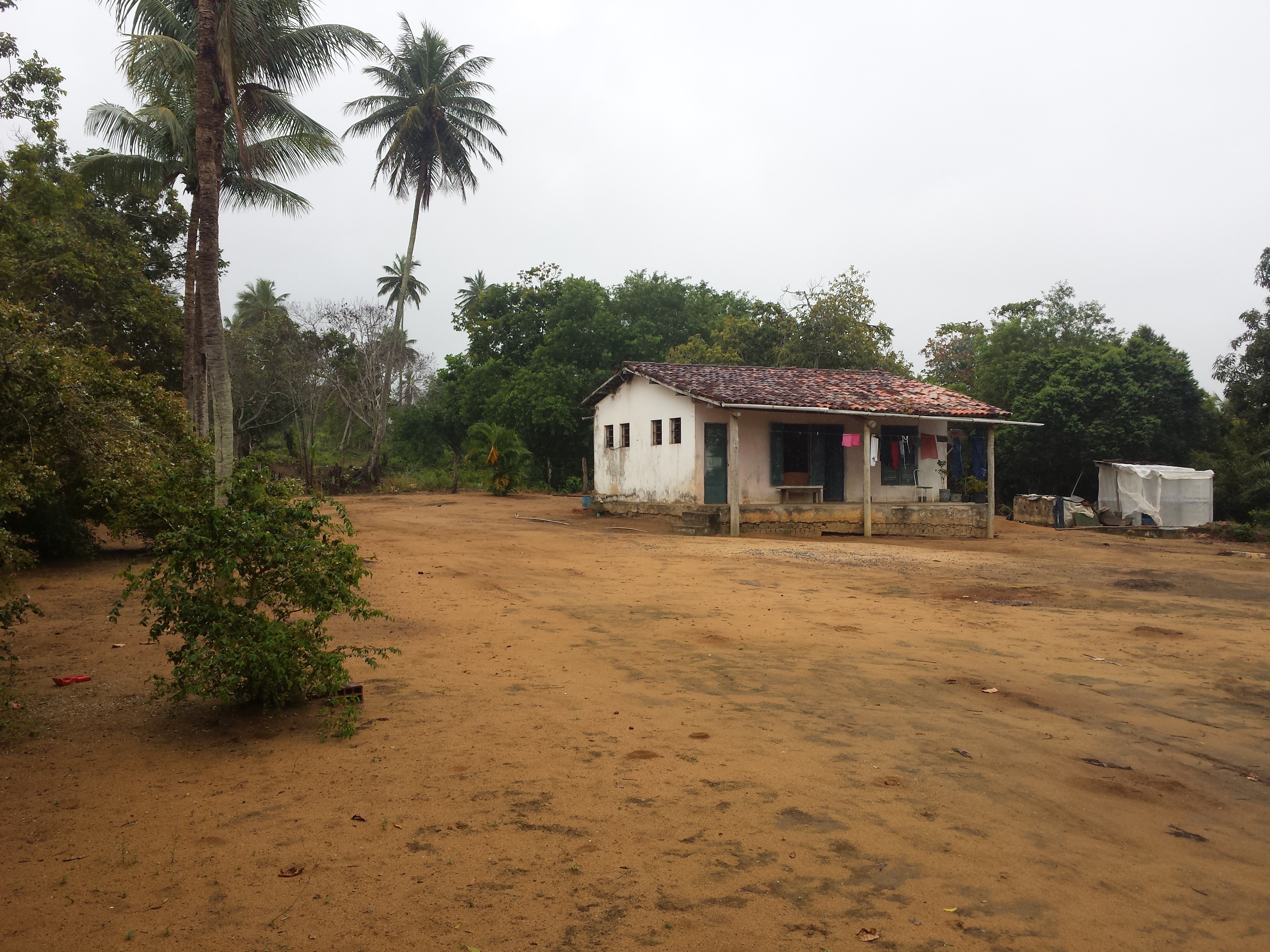 Terreno à venda, 100000m² - Foto 2