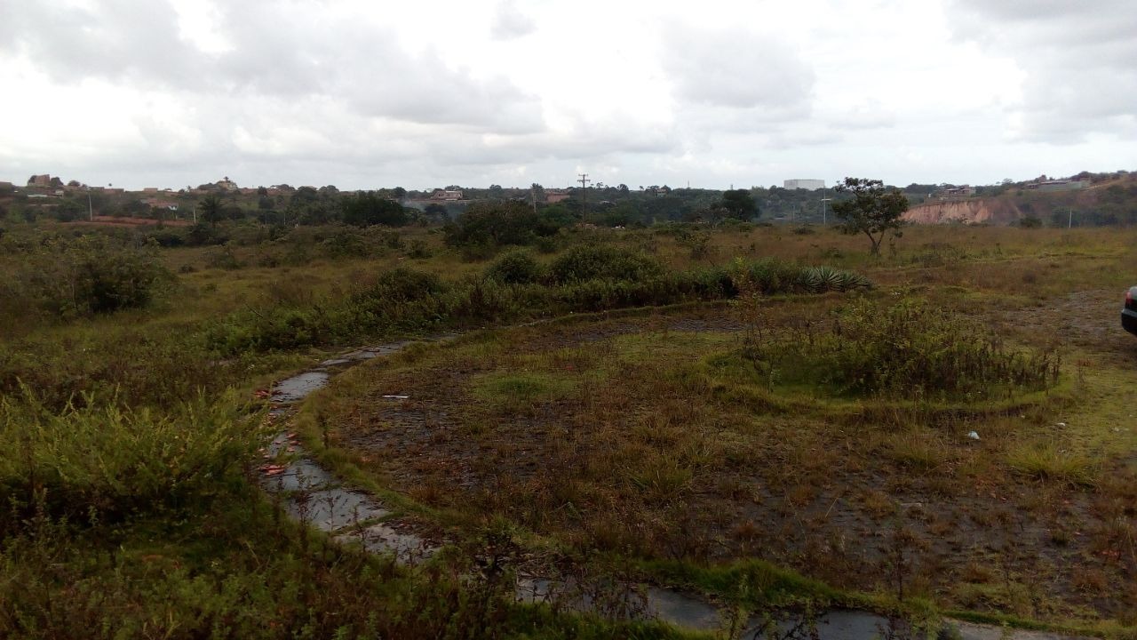 Terreno à venda, 650000m² - Foto 9