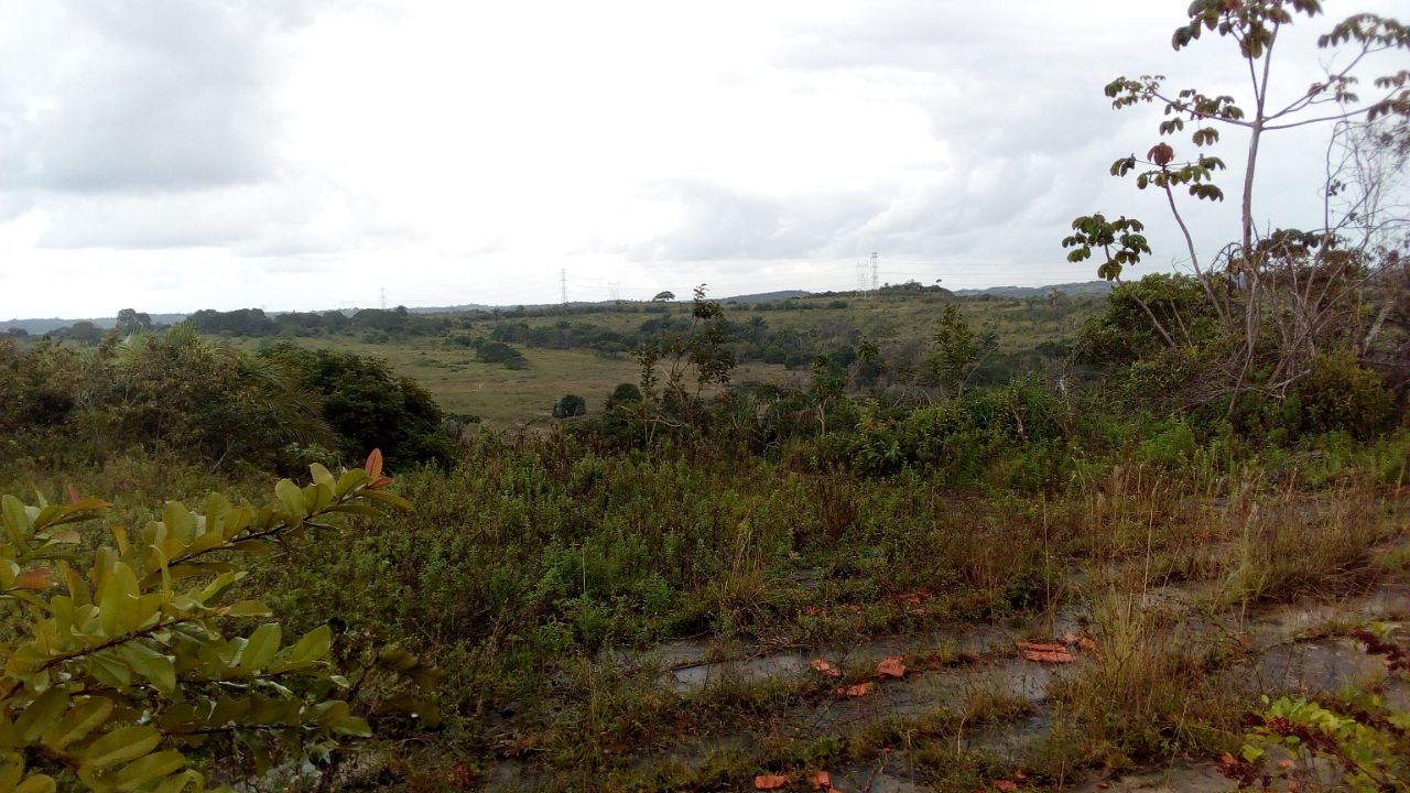 Terreno à venda, 650000m² - Foto 12