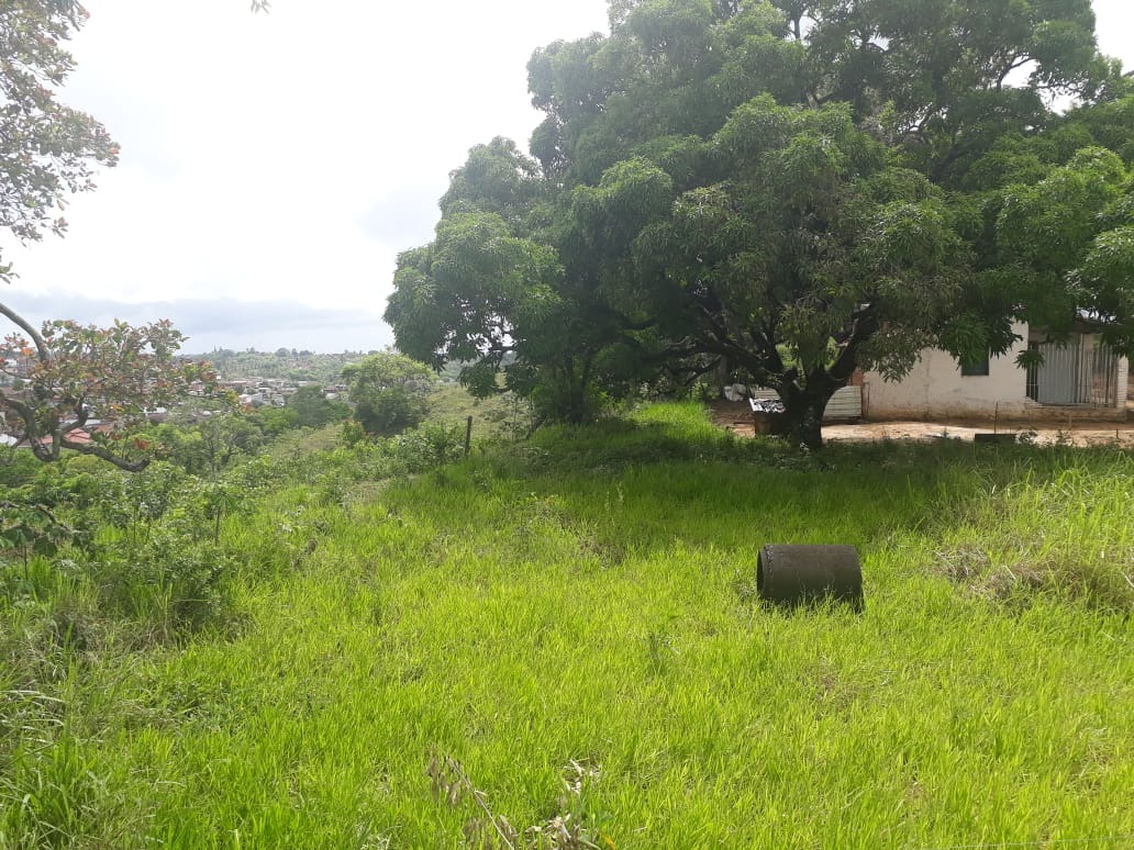 Terreno à venda, 221000m² - Foto 3