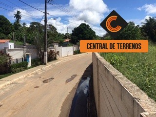 Terreno à venda, 10000m² - Foto 7