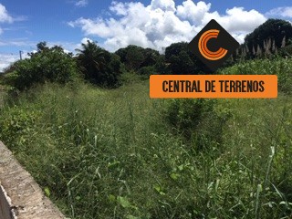 Terreno à venda, 10000m² - Foto 3