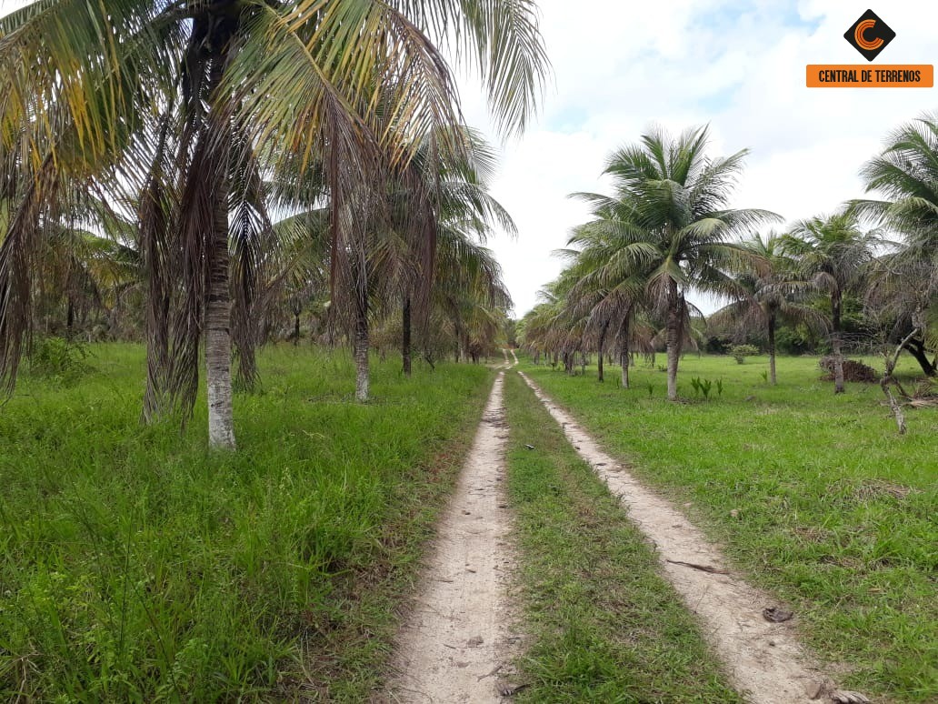 Terreno à venda, 50000m² - Foto 1