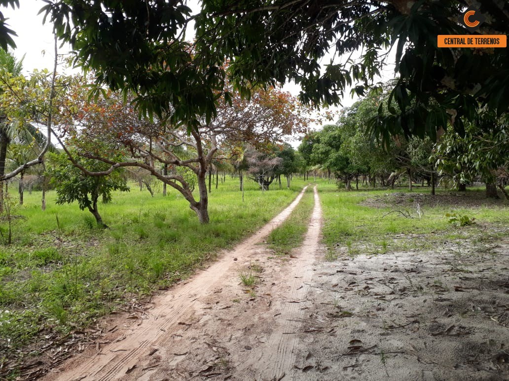 Terreno à venda, 50000m² - Foto 4