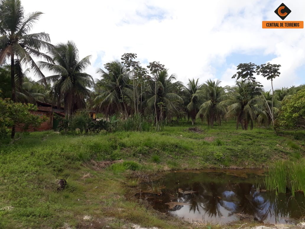 Terreno à venda, 50000m² - Foto 6