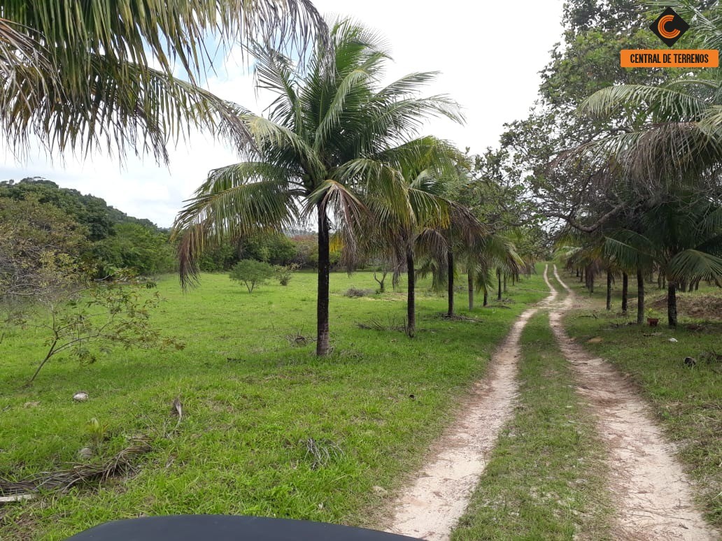 Terreno à venda, 50000m² - Foto 7