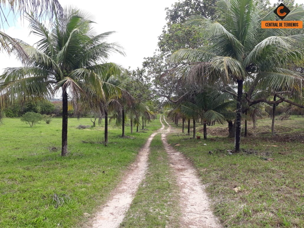 Terreno à venda, 50000m² - Foto 8