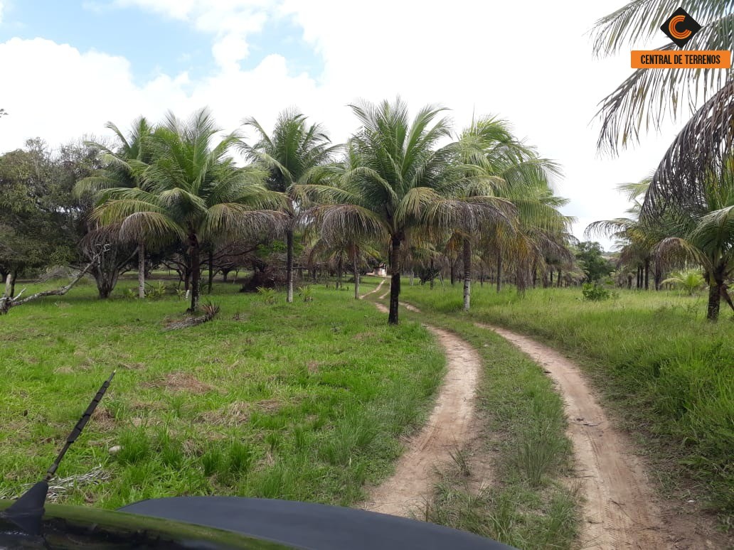 Terreno à venda, 50000m² - Foto 12