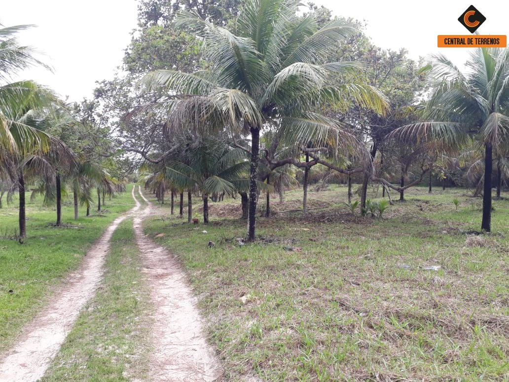 Terreno à venda, 50000m² - Foto 13