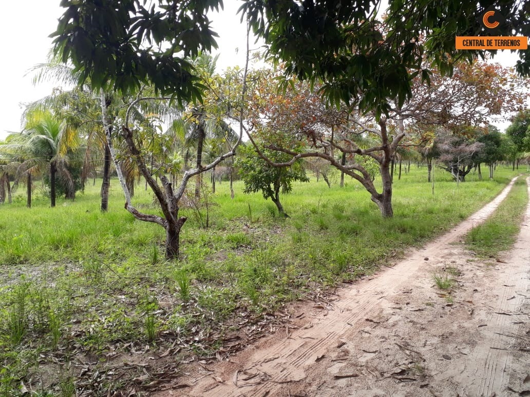 Terreno à venda, 50000m² - Foto 15