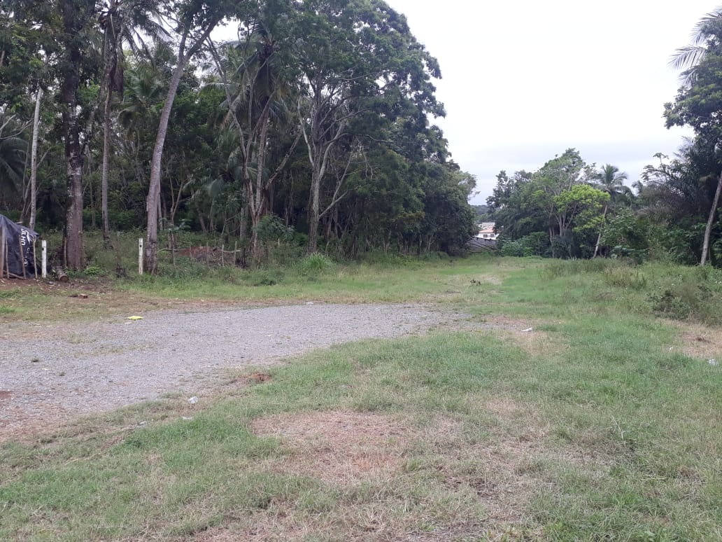Terreno, 2 hectares - Foto 3