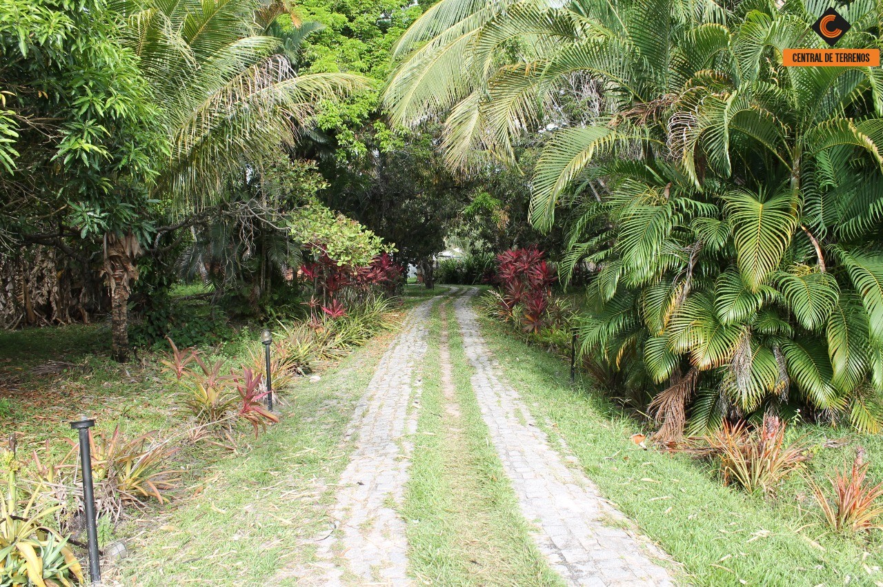 Terreno à venda, 22000m² - Foto 6