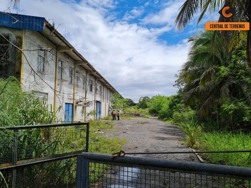 Depósito-Galpão-Armazém à venda e aluguel - Foto 5