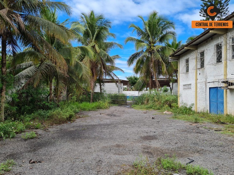 Depósito-Galpão-Armazém à venda e aluguel - Foto 6