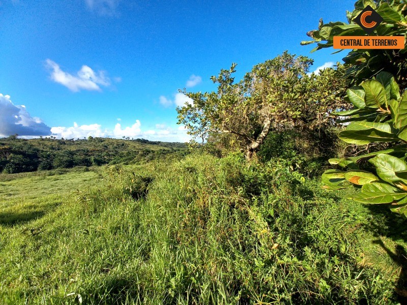 Loteamento e Condomínio à venda, 62840m² - Foto 6