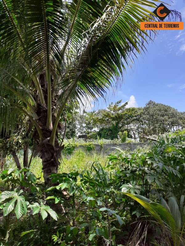 Loteamento e Condomínio à venda, 1880m² - Foto 6