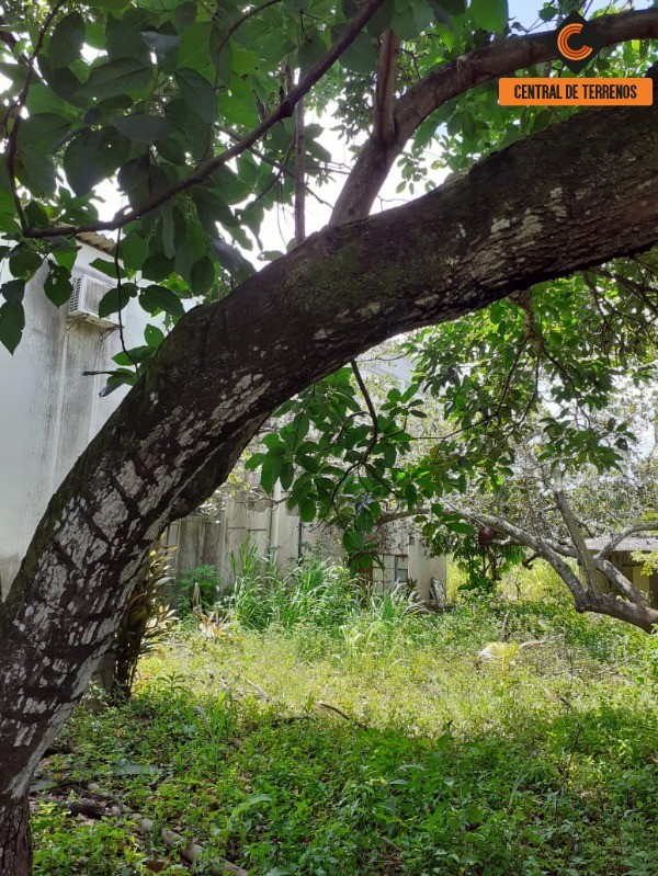 Loteamento e Condomínio à venda, 1880m² - Foto 9