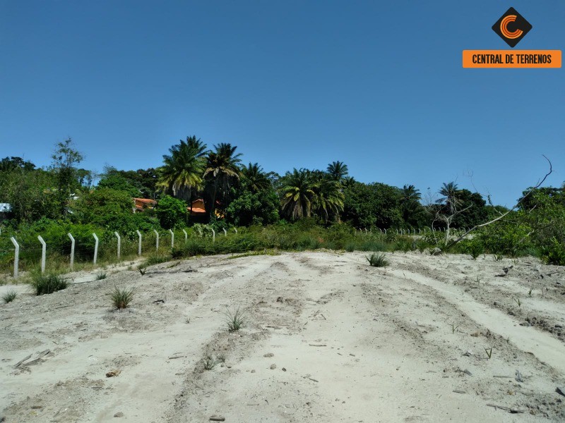 Loteamento e Condomínio à venda e aluguel, 20000m² - Foto 2