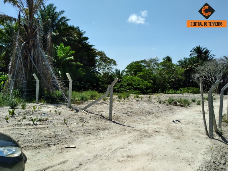 Loteamento e Condomínio à venda e aluguel, 20000m² - Foto 4