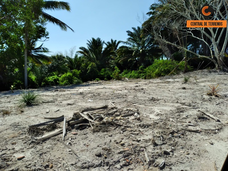 Loteamento e Condomínio à venda e aluguel, 20000m² - Foto 8