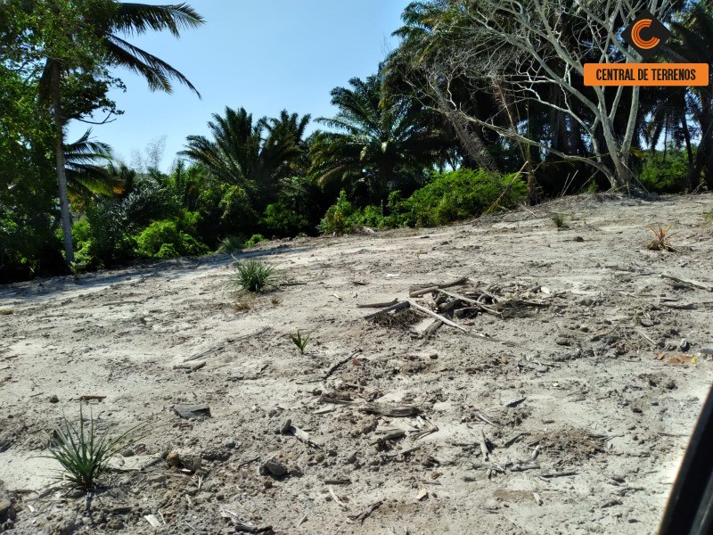 Loteamento e Condomínio à venda e aluguel, 20000m² - Foto 9