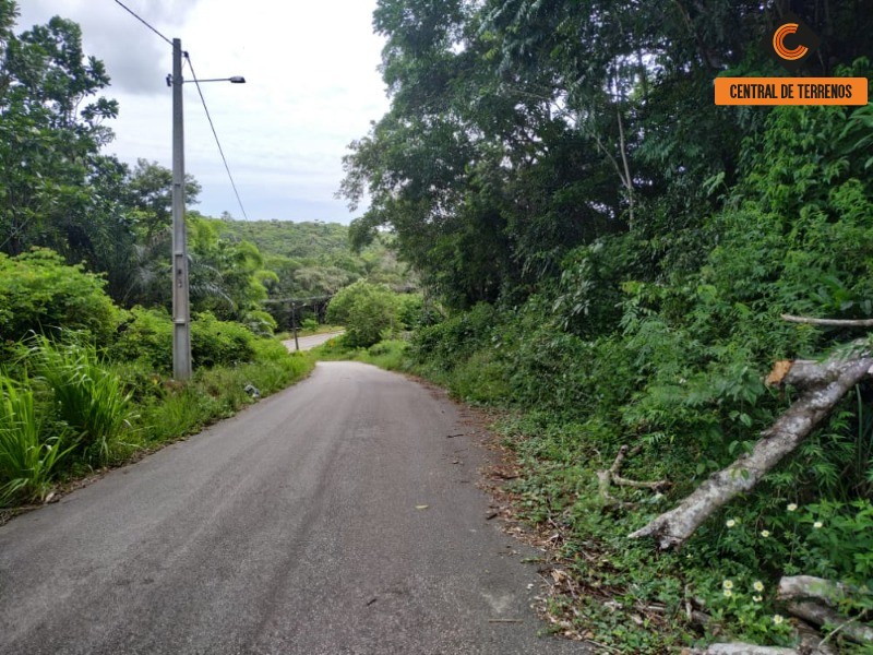 Loteamento e Condomínio à venda, 10500m² - Foto 4